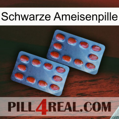 Black Ant Pill 05